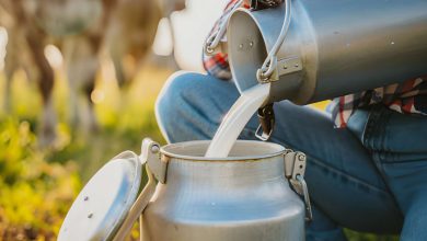 Çiğ Süt Nedir? Normal Sütten Farkı Nelerdir?