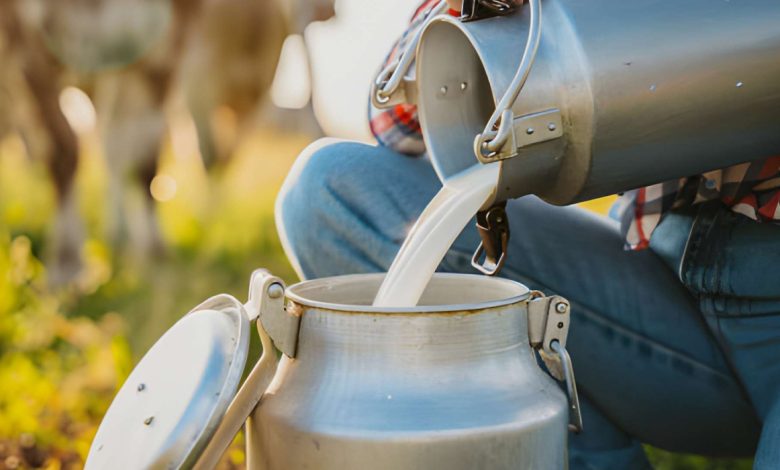 Çiğ Süt Nedir? Normal Sütten Farkı Nelerdir?